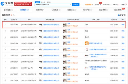 愛國(guó)者公司被限制高消費(fèi)，計(jì)算機(jī)軟硬件業(yè)務(wù)面臨挑戰(zhàn)